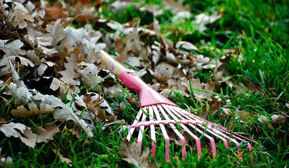 Общая уборка участка